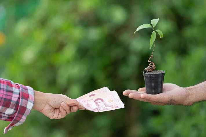 WBFC/NABARD Loan Settlement